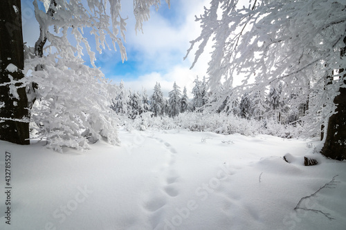 Wielka Sowa punkt widokowy w Górach Sowich w Sudetach