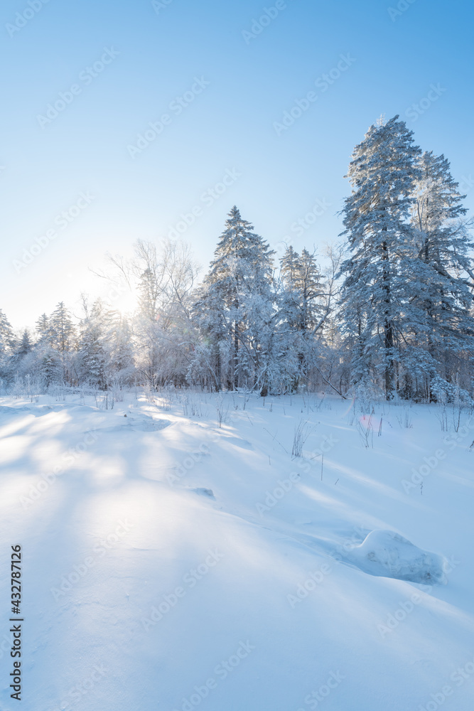 Snow and rime in winter in Changbai Mountain, Jilin Province, China Snow and rime in winter in Changbai Mountain, Jilin Province, China