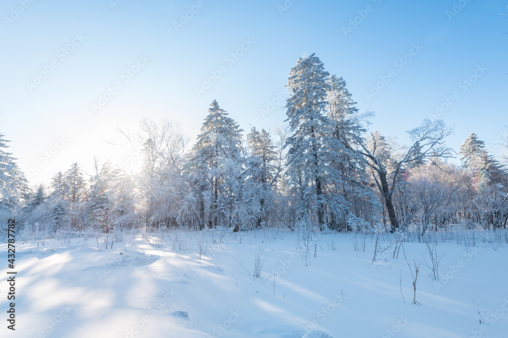 Snow and rime in winter in Changbai Mountain, Jilin Province, China Snow and rime in winter in Changbai Mountain, Jilin Province, China