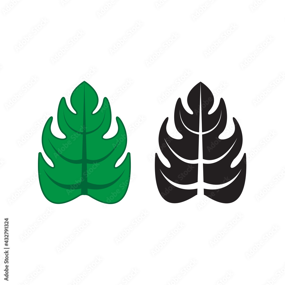 swiss cheese plant ,set of green and black and green leaves , swiss cheese leaves vector , Monstera deliciosa vector swiss cheese plant ,set of green and black and green leaves , swiss cheese leaves vector , Monstera deliciosa vector
