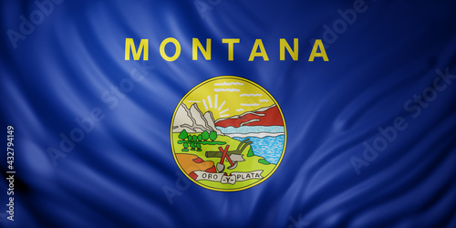 Montana State flag
