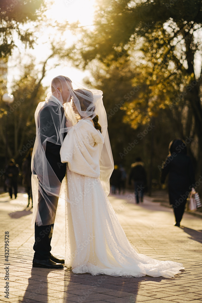 gentle and romantic bride and groom under the veil. gentle and romantic bride and groom under the veil.
