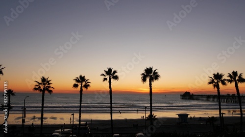 Palms silhouette on twilight sky, California USA, Oceanside pier. Dusk gloaming nightfall atmosphere. Tropical pacific ocean beach, sunset afterglow aesthetic. Dark black palm tree, Los Angeles vibes.