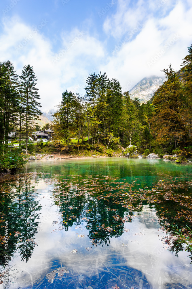 Fototapeta premium Autumn forest are reflected in the lake