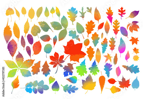 Set of tree colorful leaves. Vector illustration