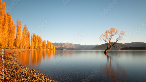 That Wanaka tree in autumn, South Island of New Zealand