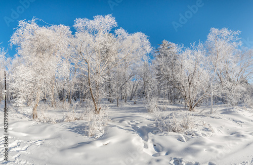 Snow and rime in winter in Changbai Mountain, Jilin Province, China © starxm