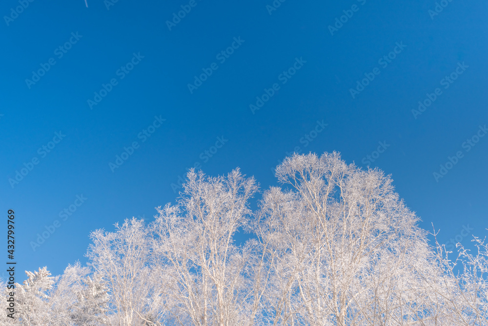 Snow and rime in winter in Changbai Mountain, Jilin Province, China