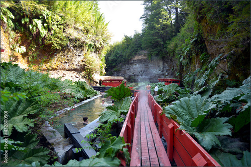 Geometric  Hot Springs,  Villarica, Chile © Irina
