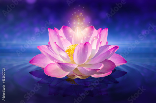 Fototapeta Naklejka Na Ścianę i Meble -  lotus Pink light purple floating light sparkle purple background