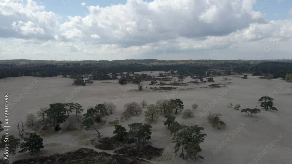 High jib up over beautiful sand dunes with a green forest in the background High jib up over beautiful sand dunes with a green forest in the background