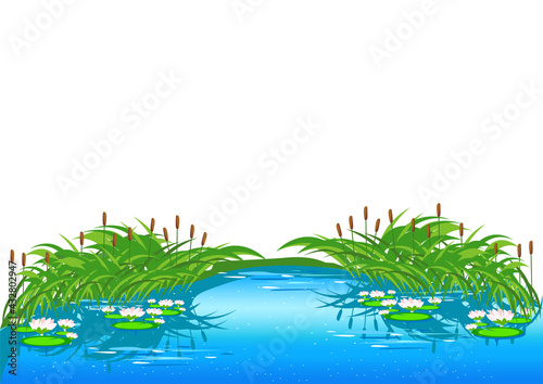 Fairy tale lake with reeds and beautiful water lilies. Vector illustration in cartoon style on a white background.