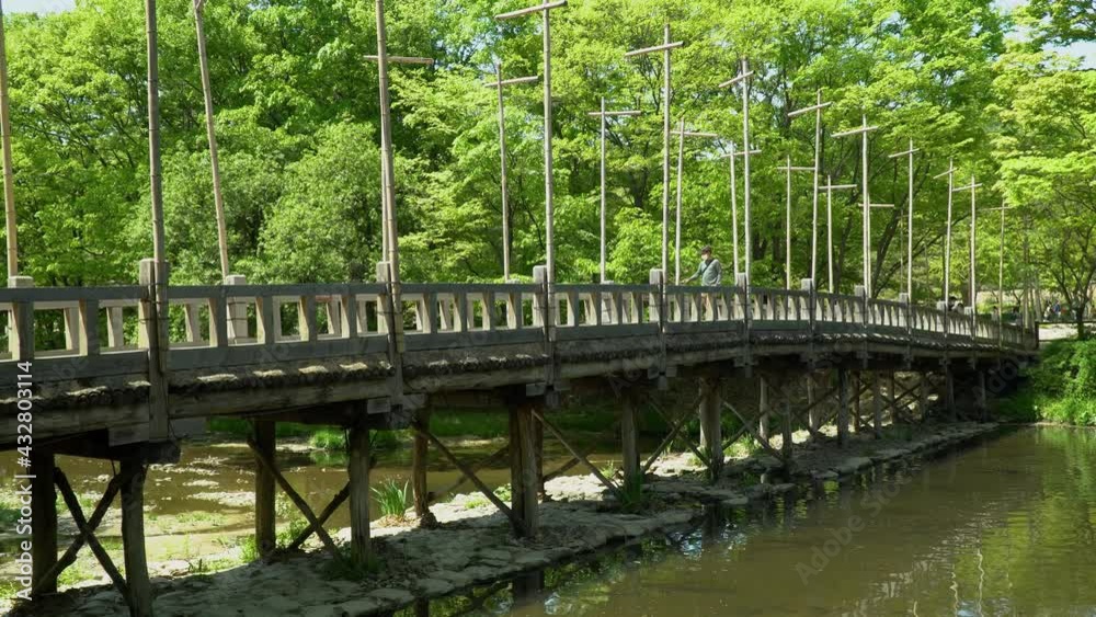 Old Wooden Bridge Over River With Green Trees In Background At Korean Folk Village In Yongin City, Seoul, South Korea. - wide static
