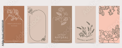Cute background for social media with magnolia,lavender flower