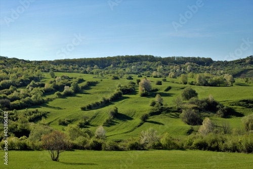 a spring landscape with trees on a hill