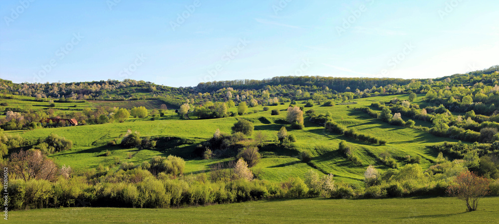 a spring landscape with trees on a hill