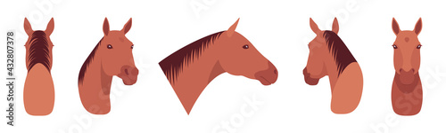 Animal mask horse head, faux taxidermy gallery wall mount decor. Hunting trophy, zoo museum hanging, cute avatar. Vector flat style cartoon illustration isolated on white background, different views