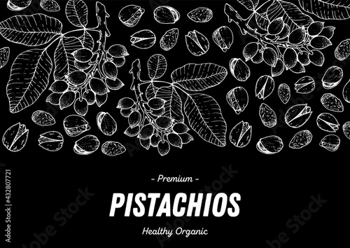 Pistachios hand drawn sketch. Nuts vector illustration. Organic healthy food. Great for packaging design. Engraved style. Black and white color.