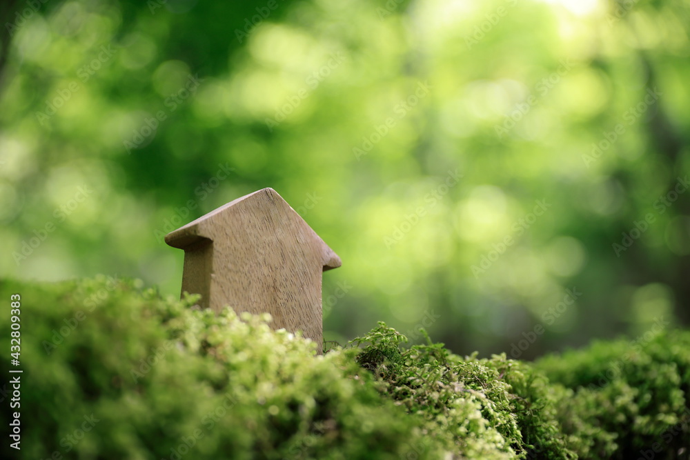森の中の家の模型