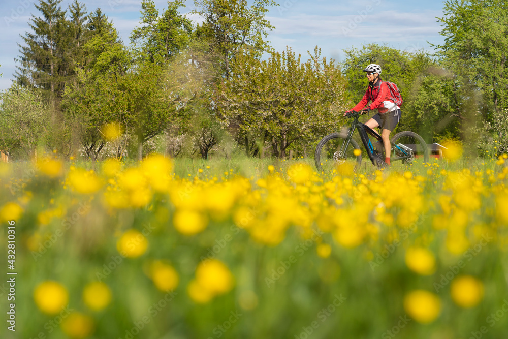 nice senior woman on electric bicycle in a meadow with yellow blooming spring flowers near Stuttgart, Germany