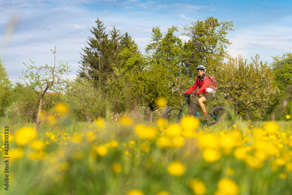 nice senior woman on electric bicycle in a meadow with yellow blooming spring flowers near Stuttgart, Germany