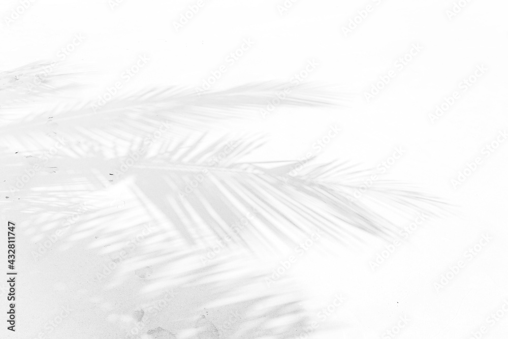 Ombre de palmes sur sable blanc de plage paradisiaque Ombre de palmes sur sable blanc de plage paradisiaque
