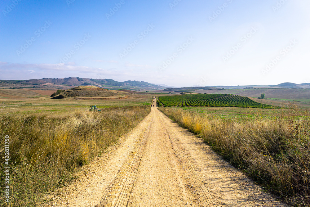 Open Pilgrim route along Camino de Santiago in Spain at autumn season. A group of pilgrims walking  along wheat fields and vinyards with soil after the harvest. 4x3 ratio, 6000 by 4000 pixels