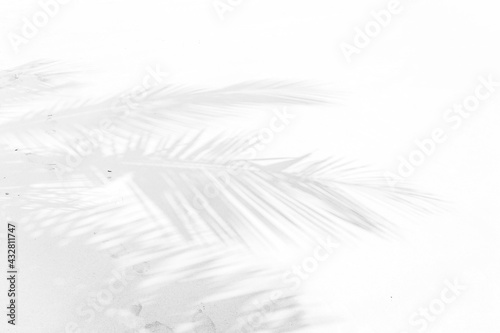 Ombre de palmes sur sable blanc de plage paradisiaque 