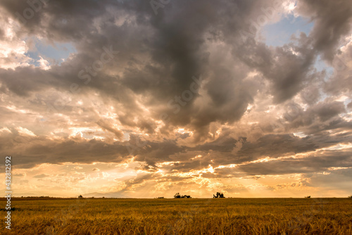 Landscape of cloudy sky at sunset with sun rays in the clouds after thunderstorm over wheat field