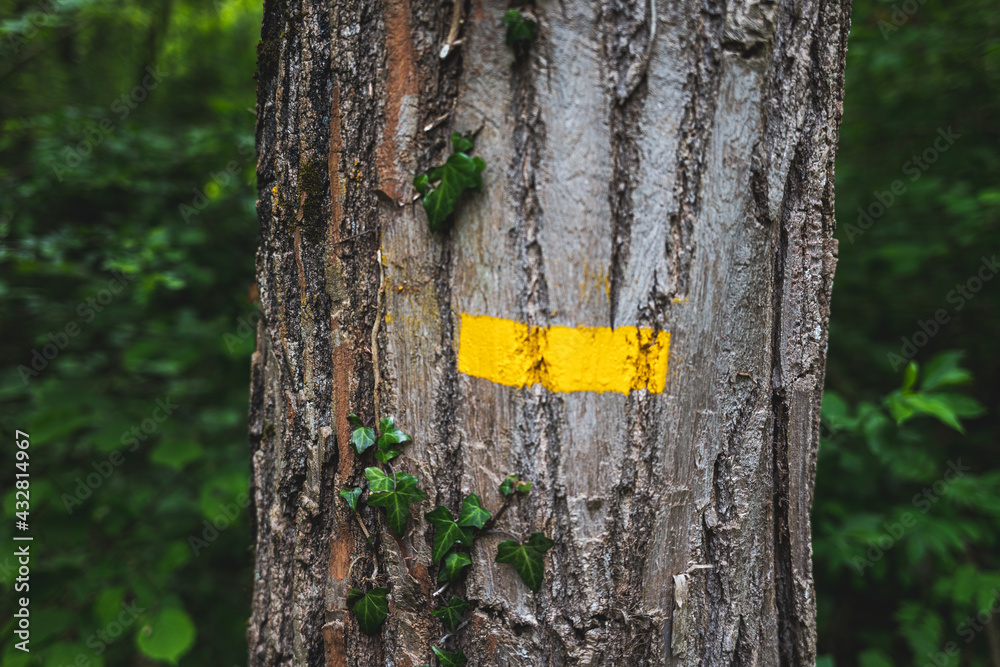 Fototapeta premium yellow sign painted on a tree