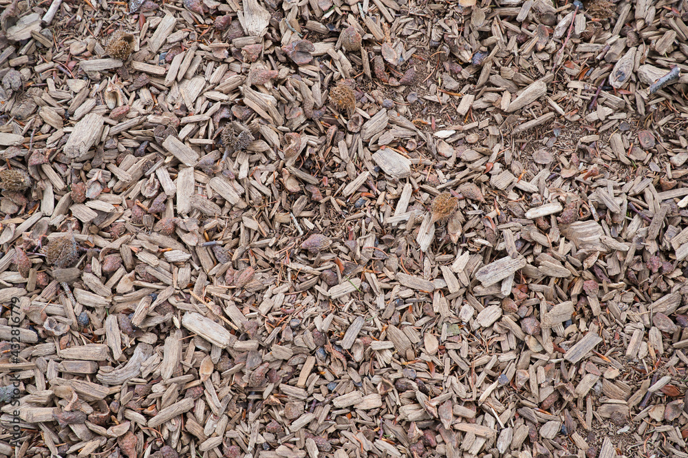 photography of bark mulch as background, format-filling photography of bark mulch as background, format-filling