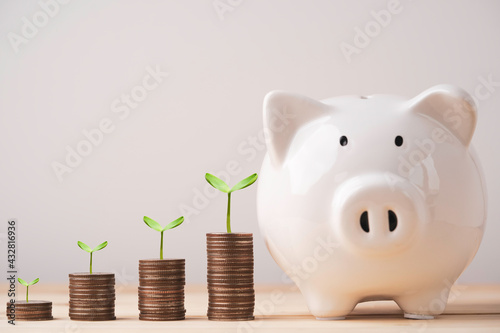 White piggy bank saving beside of plant growth on coins stacking , money saving for investment in the future