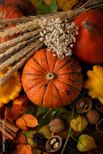 Autumn composition with colorful fresh pumpkins and autumn leaves, Thanksgiving, autumn background