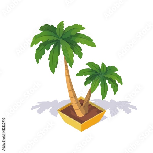 vecton isolated illustration of palm tree in isometric style. Tropical plant on a white background. Flower in pots. Use as a design element for the theme of summer holidays, vacations, travel,