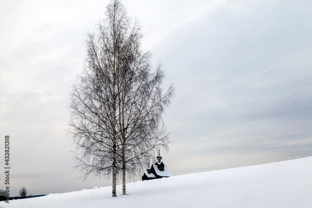 Fototapeta premium Russian Winter