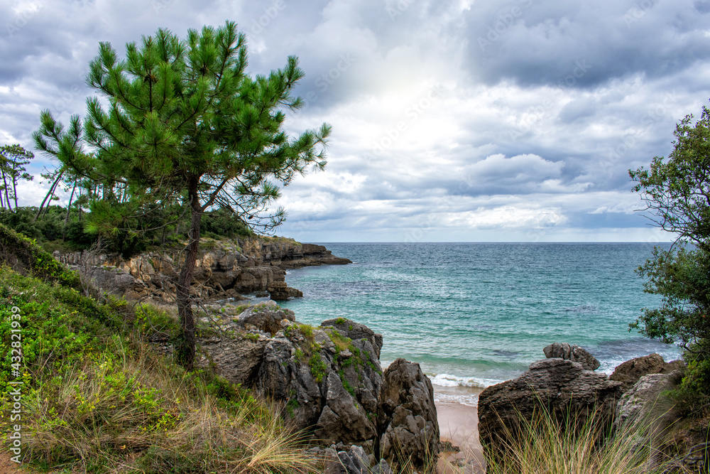 nice view of the sea from behind the beach