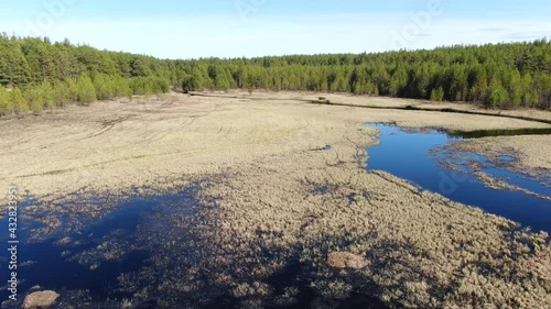 Forest river in the summer taiga from a height of flight