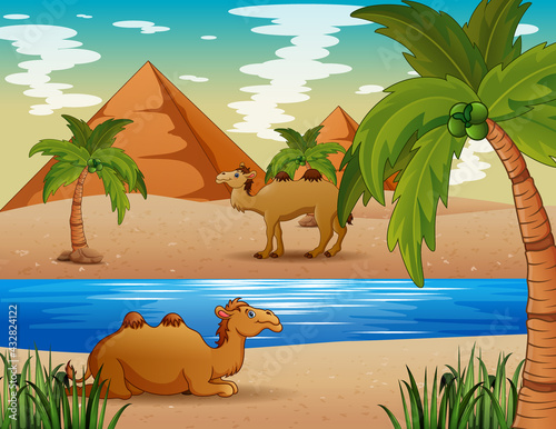 Cartoon of camels living in the desert
