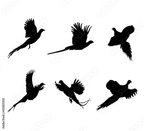 Vászonkép A set of flying pheasants