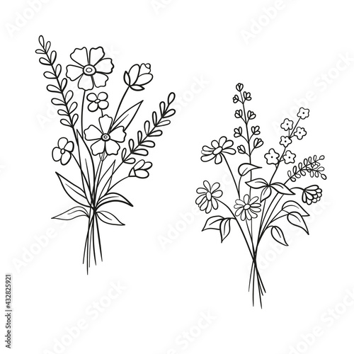 Vector sketch illustration of bouquet of flowers. Set of wildflowers in doodle style