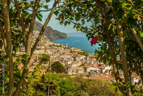 Fotografie funchal city postcard Madeira Island frame, densely populated, hot summer day