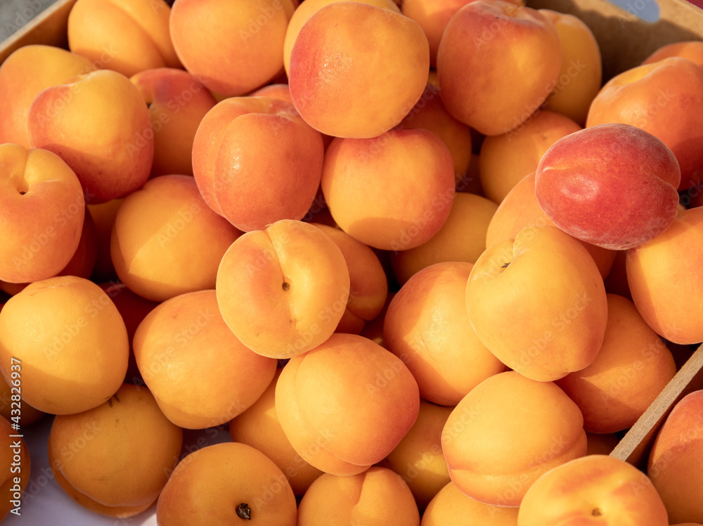 Close up shot of beautiful fruits on display in vendor's stall in fruit market in italy. Beautiful plump, bright orange and plump apricots Close up shot of beautiful fruits on display in vendor's stall in fruit market in italy. Beautiful plump, bright orange and plump apricots