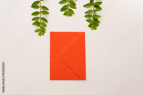 red envelope and green sprigs on white background