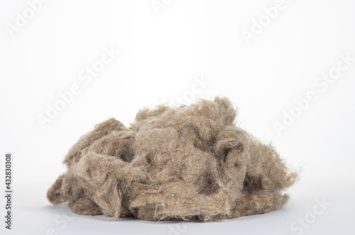 Raw flax fiber isolated on white background
