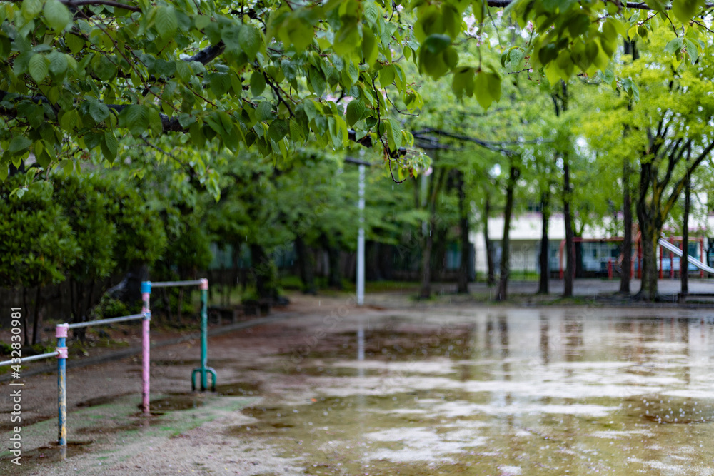 Fototapeta premium 水たまり