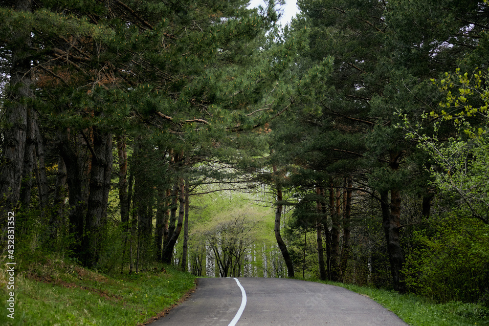 Fototapeta premium Пейзаж