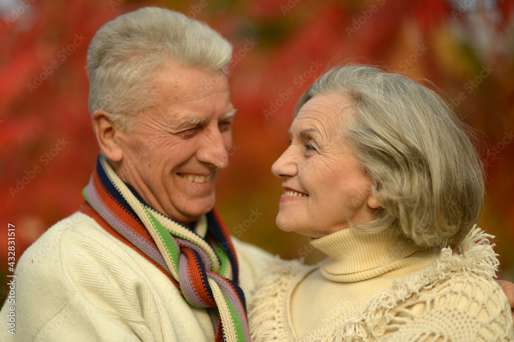 beautiful senior couple relaxing  in park