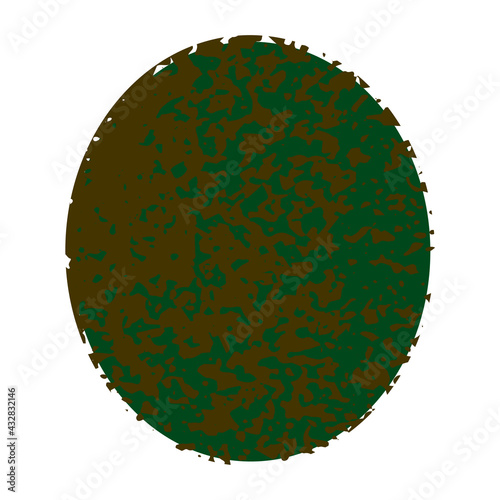 Green kiwi textured element on a white background. Isolated stock vector illustration. 