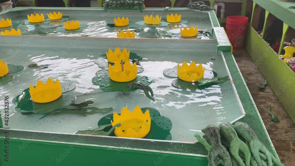 The rubber Frog Bog Carnival Game rubber hammer catapult jump to water
