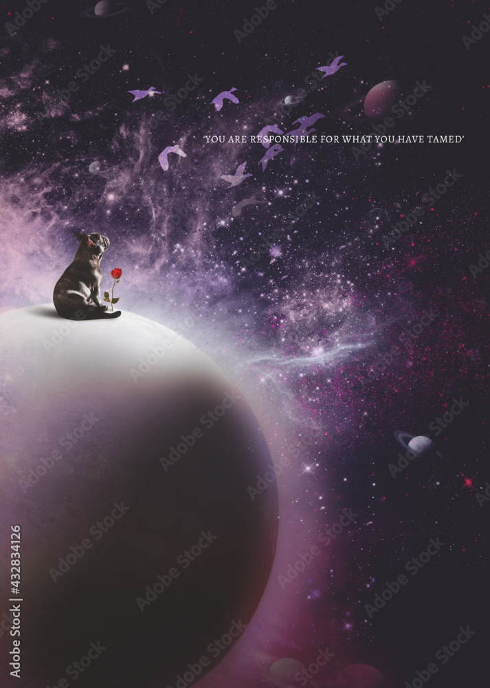 Fototapeta premium Le Petit Prince